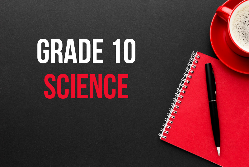 case study grade 10 science